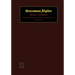 Grassmann Algebra Volume 1: Foundations: Exploring extended vector algebra with Mathematica