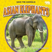 Asian Elephants