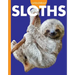 Curious about Sloths