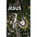 The Journey of Following Jesus