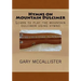 Hymns on Mountain Dulcimer: Learn to play the mountain dulcimer using hymns