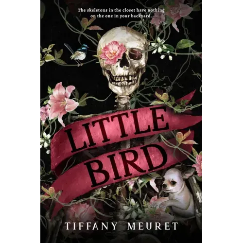 Little Bird