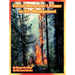 Forest Interpreter's Primer on Fire Management