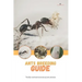 Ants breeding guide: The life and maintenance of ant colonies