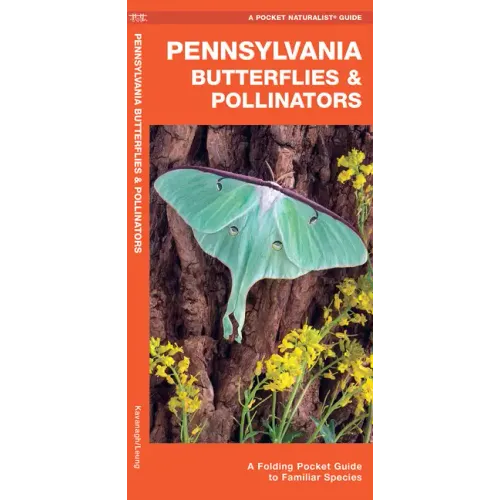 Pennsylvania Butterflies & Pollinators: A Folding Pocket Guide to Familiar Species