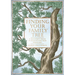 Finding Your Family Tree: A Beginner's Guide to Researching Your Genealogy