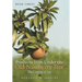 Book Three Products from Under the Old Naseberry Tree: The Coming of Age