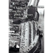 Charleston in the 20th Century
