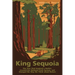 King Sequoia: The Tree That Inspired a Nation, Created Our National Park System, and Changed the Way We Think about Nature