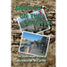 Antioch on the Orontes: An Illustrated History