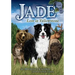 Jade-Lost in Yellowstone