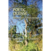 Poetic License: Reflections and Renderings
