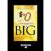 Imagine Big: Unlock the Secret to Living Out Your Dreams (Large Print 16pt)