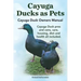 Cayuga Ducks as Pets. Cayuga Duck Owners Manual. Cayuga Duck Pros and Cons, Care, Housing, Diet and Health All Included.