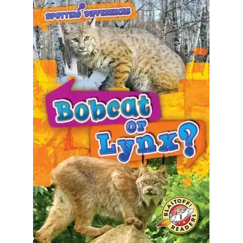 Bobcat or Lynx?