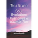 Soul Evolution: Past Lives & Karmic Ties