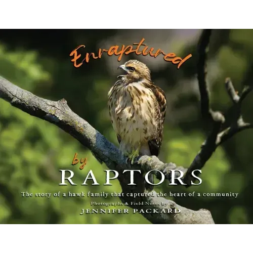 Enraptured by Raptors: The story of a hawk family that captured the heart of a community