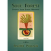 Soul Forest Twenty Four Tarot Writings