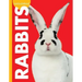 Curious about Rabbits