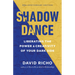 Shadow Dance: Liberating the Power and Creativity of Your Dark Side