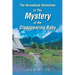 The Arrowhead Detectives in The Mystery of the Disappearing Baby