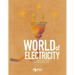 World of Electricity: Everyday Electricity for the Young Scientist: Everyday Electricity for the Young Scientist
