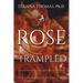 A Rose Trampled