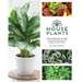 Houseplants: The Complete Guide to Choosing, Growing, and Caring for Indoor Plants