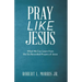 Pray Like Jesus: What We Can Learn from the Six Recorded Prayers of Jesus