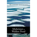 Midwinter at Walden Pond