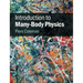 Introduction to Many-Body Physics