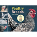 Poultry Breeds: Chickens, Ducks, Geese, Turkeys: The Pocket Guide to 104 Essential Breeds