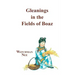 Gleanings in the Fields of Boaz