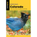 Birding Colorado
