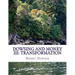 Dowsing and Money III: Transformation