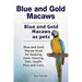 Blue and Gold Macaws. Blue and Gold Macaws as pets. Blue and Gold Macaw book for Keeping, Care, Housing, Diet, Health. Pros and Cons.