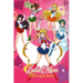 Sailor Moon: Trivia Quiz Book