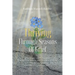 Thriving Through Seasons of Grief: How to Overcome in Life's Disappointments, Change and Loss