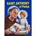 Saint Anthony of Padua: The World's Best Loved Saint