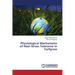Physiological Mechanisms of Heat Stress Tolerance in Turfgrass