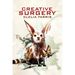 Creative Surgery