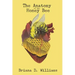 The Anatomy of the Honey Bee