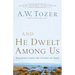And He Dwelt Among Us: Teachings from the Gospel of John