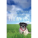 Biblical Proof Animals Do Go To Heaven