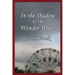 In the Shadow of the Wonder Wheel