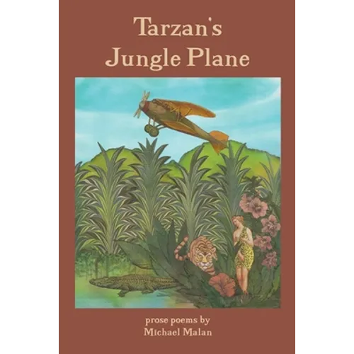 Tarzan's Jungle Plane