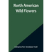 North American Wild Flowers