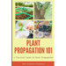 Plant Propagation 101: A Practical Guide In Plant Propagation