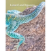 Lizard and Iguana: Brim Children's Playtime Coloring Book.