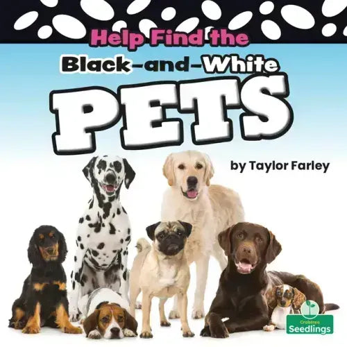 Help Find the Black-And-White Pets